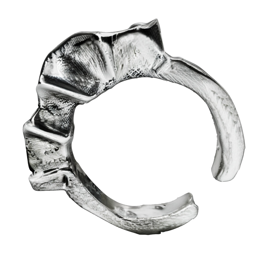 RING 28